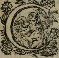An illustration from La métamorphose du vertueux : livre plein de moralité (1611)