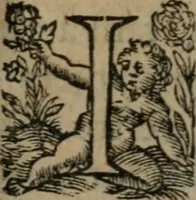 An illustration from La métamorphose du vertueux : livre plein de moralité (1611)