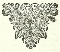 Picture 11 of 27 from L'anatomie de l'homme, suivant la circulation du sang, & les dernieres découvertes : (1698), leaf 142