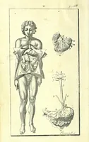 An illustration from L'anatomie de l'homme, suivant la circulation du sang, & les dernieres découvertes : (1698)
