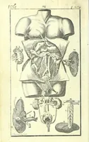 Picture 18 of 27 from L'anatomie de l'homme, suivant la circulation du sang, & les dernieres découvertes : (1698), leaf 268