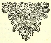 Picture 5 of 27 from L'anatomie de l'homme, suivant la circulation du sang, & les dernieres découvertes : (1698), leaf 27