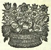 Picture 6 of 27 from L'anatomie de l'homme, suivant la circulation du sang, & les dernieres découvertes : (1698), leaf 42
