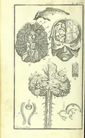Picture 22 of 27 from L'anatomie de l'homme, suivant la circulation du sang, & les dernieres découvertes : (1698), leaf 546