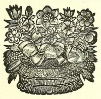 An illustration from L'anatomie de l'homme, suivant la circulation du sang, & les dernieres découvertes : (1698)