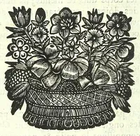 Picture 26 of 27 from L'anatomie de l'homme, suivant la circulation du sang, & les dernieres découvertes : (1698), leaf 744