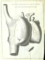 Picture 27 of 27 from L'anatomie de l'homme, suivant la circulation du sang, & les dernieres découvertes : (1698), leaf 746