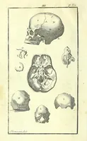 An illustration from L'anatomie de l'homme, suivant la circulation du sang, & les dernieres découvertes : (1698)
