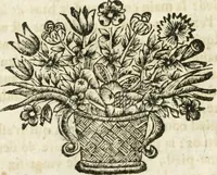 Picture 3 of 6 from L'anatomie françoise, recveillie des meillevrs autheurs qui ont écrit de cette science (1673), leaf 115
