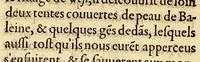 An illustration from La nauigation du capitaine Martin Forbisher [sic] Anglois, és regions de west & nordwest, en l'année M.D. LXXVII. : Contenant les moeurs & façons de viure des peuples, & habita[n]s d'icelles, auec le portraict de leurs habits & armes, & autres choses memorables & singulieres, du tout incognues par deça (1578)