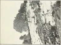 An illustration from Land drainage by means of pumps (1915)