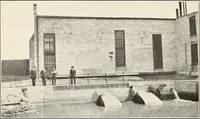 An illustration from Land drainage by means of pumps (1915)