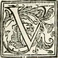 Picture 20 of 31 from L'Andromeda (1639), leaf 84