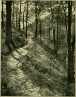 Picture 16 of 47 from The landscape beautiful; a study of the utility of the natural landscape, its relation to human life and happiness (1910), leaf 125