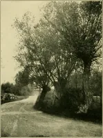 An illustration from The landscape beautiful; a study of the utility of the natural landscape, its relation to human life and happiness (1910)