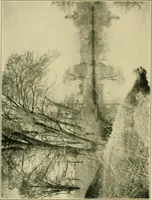 An illustration from The landscape beautiful; a study of the utility of the natural landscape, its relation to human life and happiness (1910)