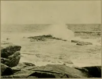 An illustration from The landscape beautiful; a study of the utility of the natural landscape, its relation to human life and happiness (1910)