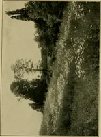 An illustration from The landscape beautiful; a study of the utility of the natural landscape, its relation to human life and happiness (1910)