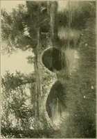 An illustration from The landscape beautiful; a study of the utility of the natural landscape, its relation to human life and happiness (1910)