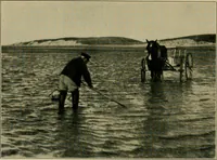 An illustration from The landscape beautiful; a study of the utility of the natural landscape, its relation to human life and happiness (1910)