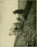 An illustration from The landscape beautiful; a study of the utility of the natural landscape, its relation to human life and happiness (1910)