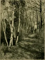 An illustration from The landscape beautiful; a study of the utility of the natural landscape, its relation to human life and happiness (1910)