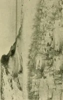 An illustration from The landscape beautiful; a study of the utility of the natural landscape, its relation to human life and happiness (1910)
