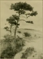 Picture 34 of 47 from The landscape beautiful; a study of the utility of the natural landscape, its relation to human life and happiness (1910), leaf 280