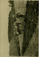 An illustration from The landscape beautiful; a study of the utility of the natural landscape, its relation to human life and happiness (1910)