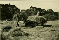 An illustration from The landscape beautiful; a study of the utility of the natural landscape, its relation to human life and happiness (1910)