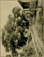 An illustration from The landscape beautiful; a study of the utility of the natural landscape, its relation to human life and happiness (1910)