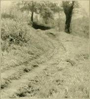 An illustration from The landscape beautiful; a study of the utility of the natural landscape, its relation to human life and happiness (1910)