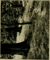 An illustration from The landscape beautiful; a study of the utility of the natural landscape, its relation to human life and happiness (1910)