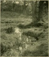 An illustration from The landscape beautiful; a study of the utility of the natural landscape, its relation to human life and happiness (1910)
