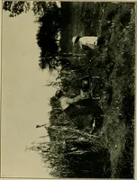 An illustration from The landscape beautiful; a study of the utility of the natural landscape, its relation to human life and happiness (1910)