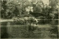 An illustration from The landscape beautiful; a study of the utility of the natural landscape, its relation to human life and happiness (1910)