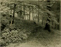 An illustration from The landscape beautiful; a study of the utility of the natural landscape, its relation to human life and happiness (1910)