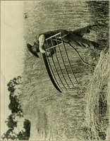 An illustration from The landscape beautiful; a study of the utility of the natural landscape, its relation to human life and happiness (1910)