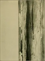 An illustration from The landscape beautiful; a study of the utility of the natural landscape, its relation to human life and happiness (1910)