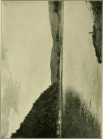 An illustration from The landscape beautiful; a study of the utility of the natural landscape, its relation to human life and happiness (1910)