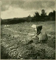 An illustration from The landscape beautiful; a study of the utility of the natural landscape, its relation to human life and happiness (1910)