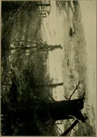 An illustration from The landscape beautiful; a study of the utility of the natural landscape, its relation to human life and happiness (1910)
