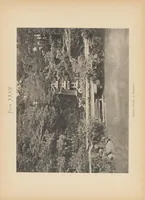 An illustration from Landscape gardening in Japan (1893)
