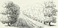 An illustration from The landscape gardening and landscape architecture of the late Humphry Repton, esq., being his entire works on these subjects : ...with historical and scientific introduction, a systematic analysis, a biographical notice, notes, and copious alphabetical index (1840)