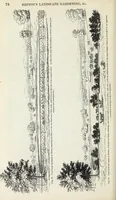 Picture 26 of 227 from The landscape gardening and landscape architecture of the late Humphry Repton, esq., being his entire works on these subjects : ...with historical and scientific introduction, a systematic analysis, a biographical notice, notes, and copious alphabetical index (1840), leaf 115