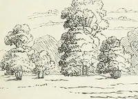 An illustration from The landscape gardening and landscape architecture of the late Humphry Repton, esq., being his entire works on these subjects : ...with historical and scientific introduction, a systematic analysis, a biographical notice, notes, and copious alphabetical index (1840)