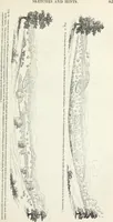 An illustration from The landscape gardening and landscape architecture of the late Humphry Repton, esq., being his entire works on these subjects : ...with historical and scientific introduction, a systematic analysis, a biographical notice, notes, and copious alphabetical index (1840)