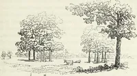 An illustration from The landscape gardening and landscape architecture of the late Humphry Repton, esq., being his entire works on these subjects : ...with historical and scientific introduction, a systematic analysis, a biographical notice, notes, and copious alphabetical index (1840)