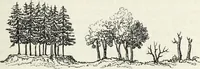 An illustration from The landscape gardening and landscape architecture of the late Humphry Repton, esq., being his entire works on these subjects : ...with historical and scientific introduction, a systematic analysis, a biographical notice, notes, and copious alphabetical index (1840)