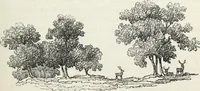 Picture 58 of 227 from The landscape gardening and landscape architecture of the late Humphry Repton, esq., being his entire works on these subjects : ...with historical and scientific introduction, a systematic analysis, a biographical notice, notes, and copious alphabetical index (1840), leaf 214